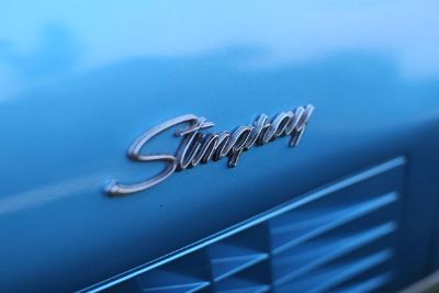 blue stingray emblem
