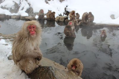 bathing time