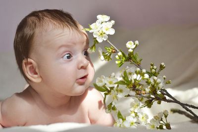 baby focused on flowers