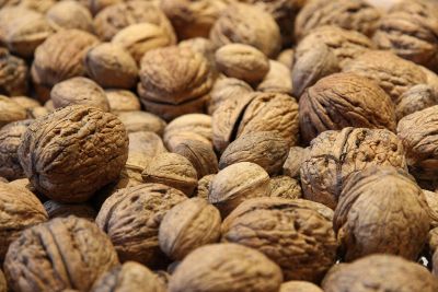 a bunch of tasty walnuts