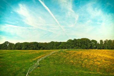 field landscape