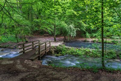 bridge over a stream