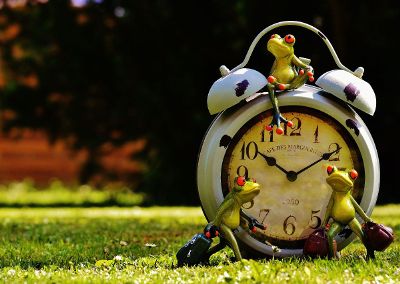 frog clock