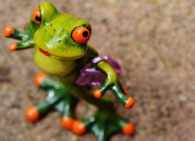 frog with a purse