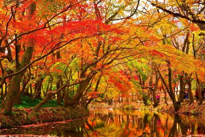 beautiful autumn waterway