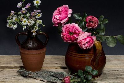 two flower plants with pots