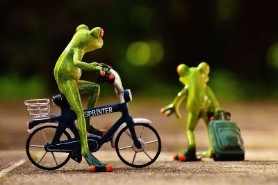 painted gecko on a bike with friend