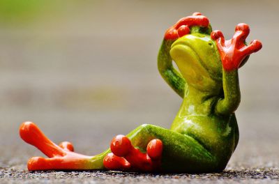 tree frog hiding its eyes