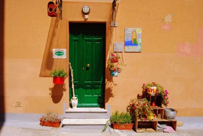 bright green door in a yellow wall with potted plants