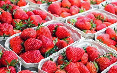 strawberries in containers