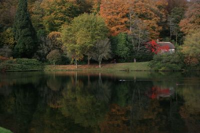 fall forest and reflective pond