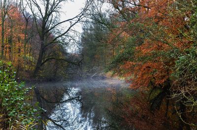 autumn mist