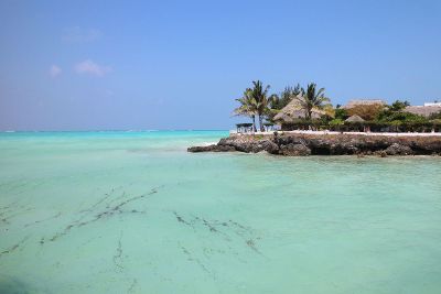 tropical coastline