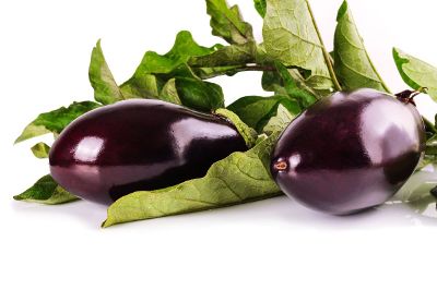 fresh brinjal