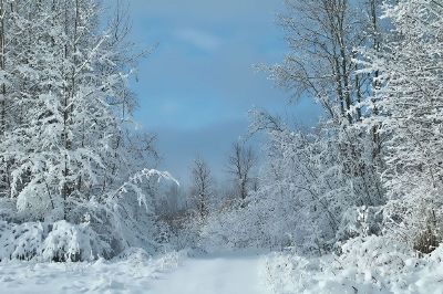 blue snowfall