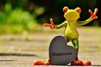 happy tree frog