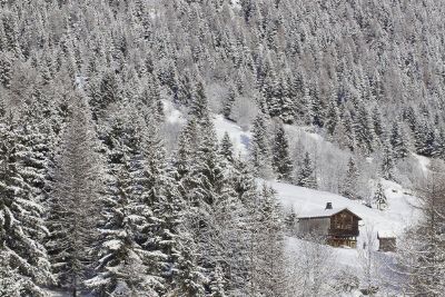 snow covered cabin