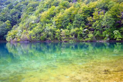 the shore of pond