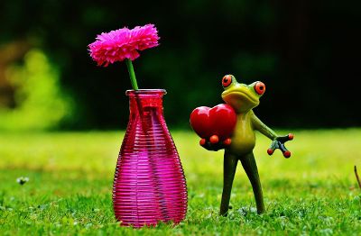 frog carrying a heart