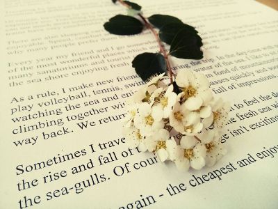 flowers on the page