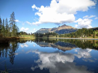 lake surrounding by greenery