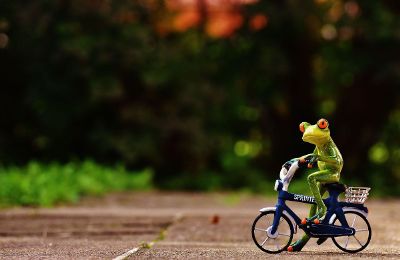 puppet frog rides a bicycle