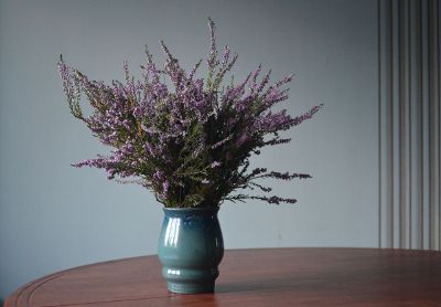 lavender in vase