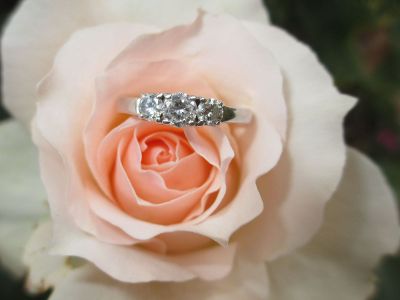 ring on a rose flower