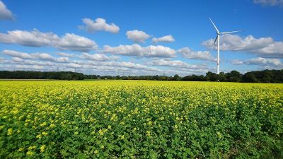wind turbine in field