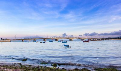 bustling bridge at dawn