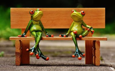 two frogs sitting on a bench