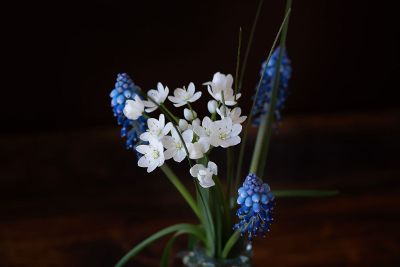 white and blue flowers in vase
