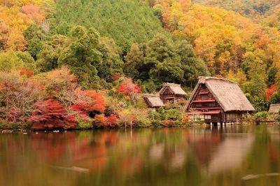 cabins on the lake