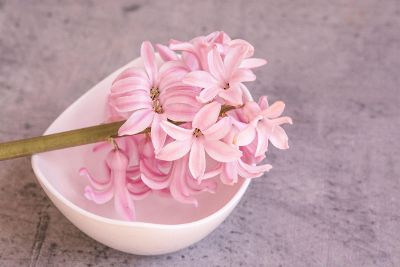 flowers in a bowl