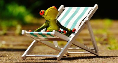 frog sitted on a beach chair