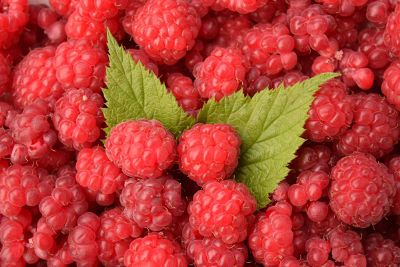 group of raspberries