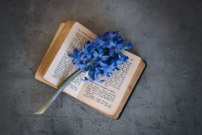 book with a flower bookmark