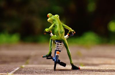 green frog riding a bike