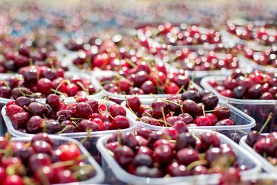 several bushels of red cherries