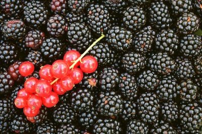 fruity berries