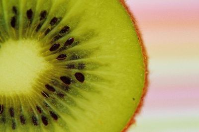 a slice of kiwi upclose