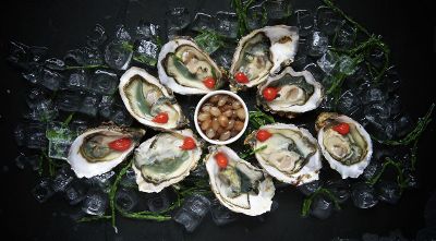 cool oysters