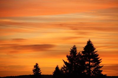 sunset with trees