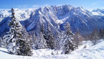 snowy forest surrounded by mountains