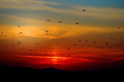 gorgeous red sunset