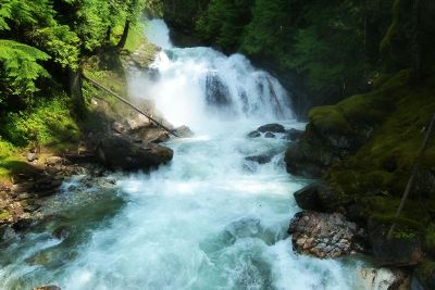 waterfall and rapids in green woods