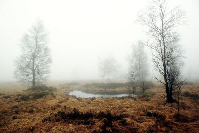 a small pond in the winter field