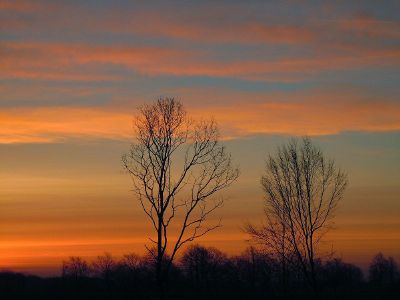 sky at sunrise or sunset