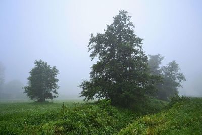 early morning mist