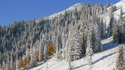 winter mountain